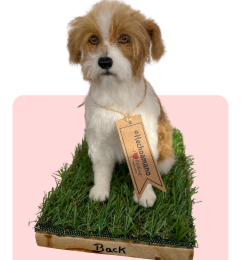 Diseño sin título Diseño sin título