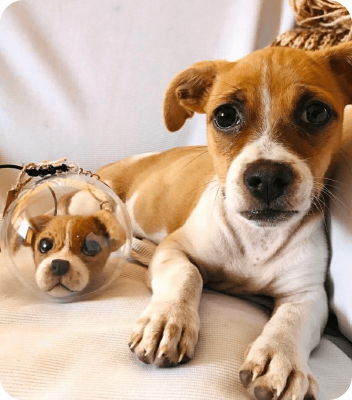 llavero_opt llavero_opt